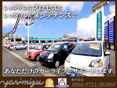 (株)ヤリミズ自動車